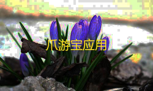 和平精英透视开挂免费版爪游宝应用